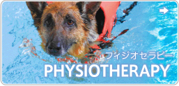 PHYSIOTHERAPY フィジオセラピー